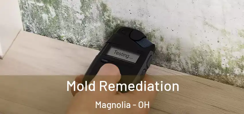  Mold Remediation Magnolia - OH