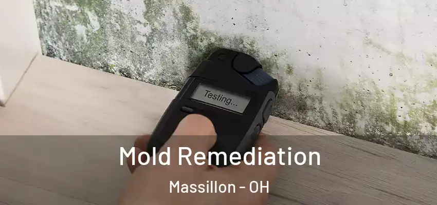 Mold Remediation Massillon - OH