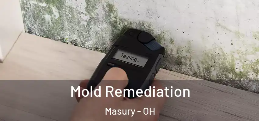 Mold Remediation Masury - OH