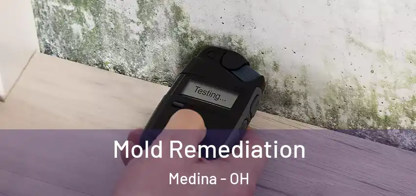 Mold Remediation Medina - OH