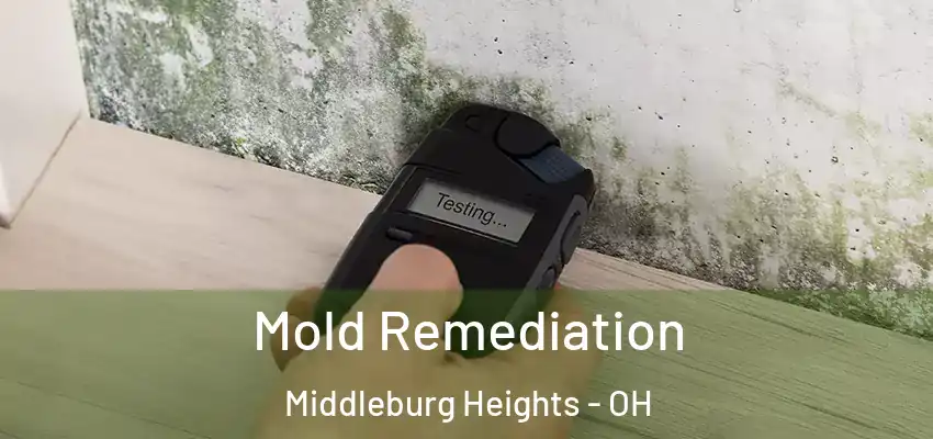  Mold Remediation Middleburg Heights - OH