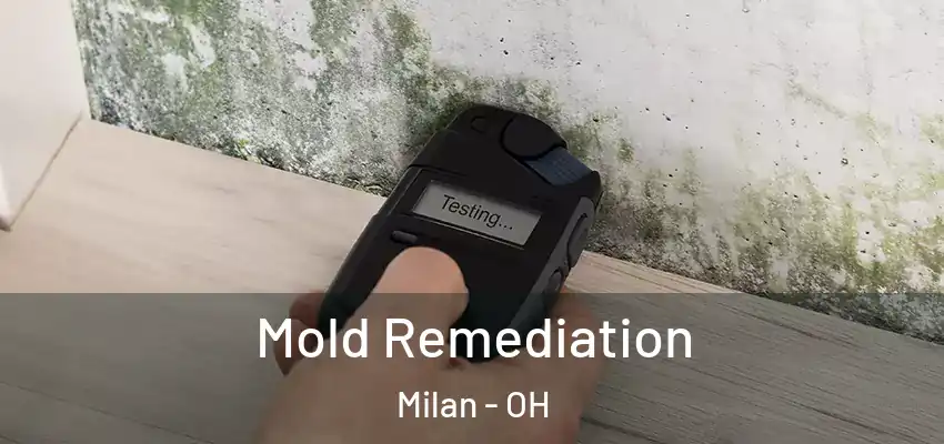Mold Remediation Milan - OH