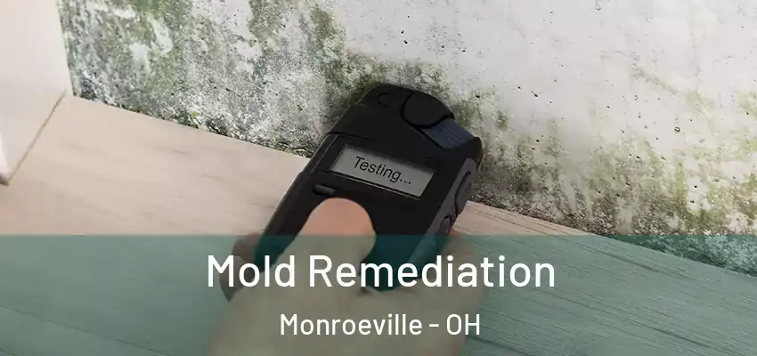 Mold Remediation Monroeville - OH