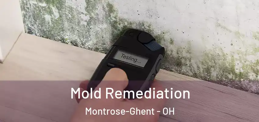  Mold Remediation Montrose-Ghent - OH