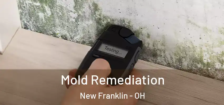 Mold Remediation New Franklin - OH