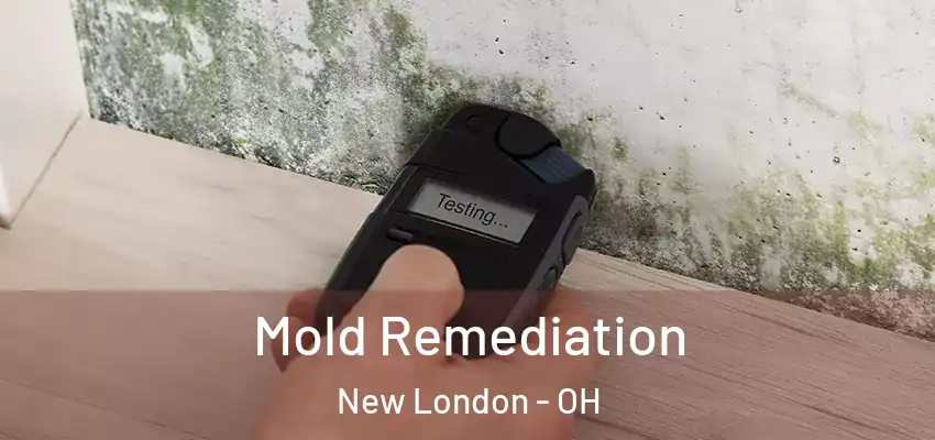  Mold Remediation New London - OH