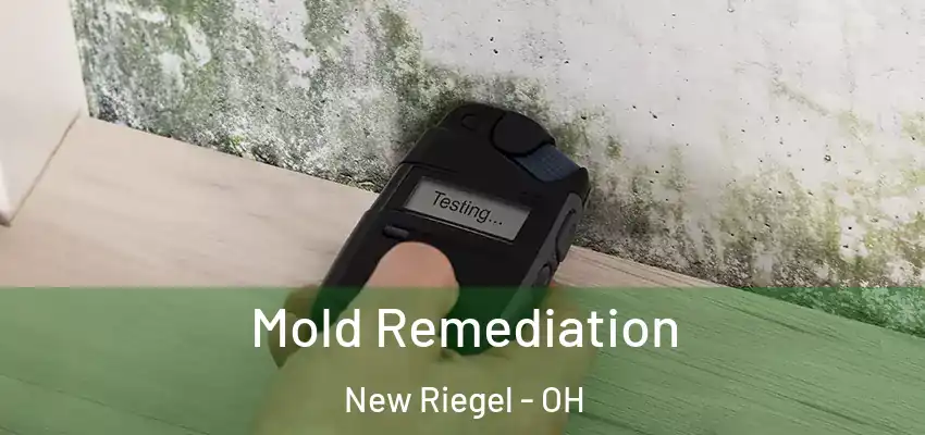 Mold Remediation New Riegel - OH