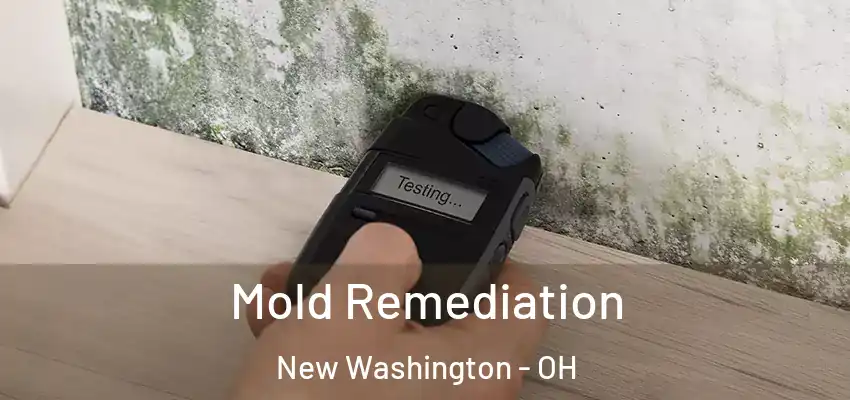 Mold Remediation New Washington - OH