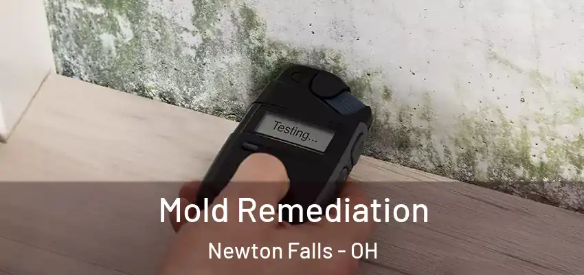 Mold Remediation Newton Falls - OH