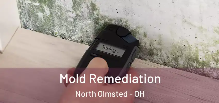 Mold Remediation North Olmsted - OH