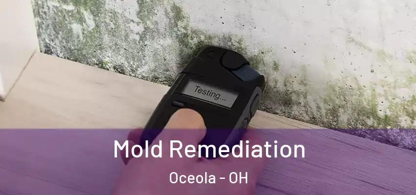 Mold Remediation Oceola - OH