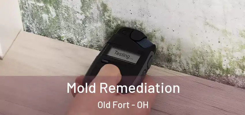 Mold Remediation Old Fort - OH