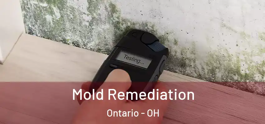 Mold Remediation Ontario - OH