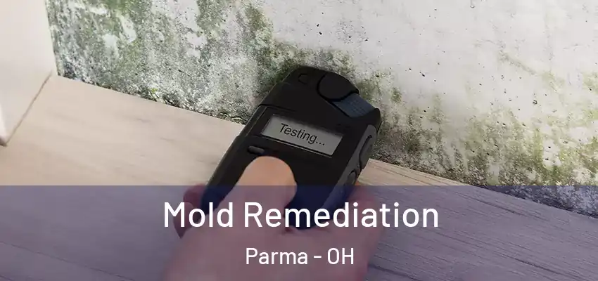 Mold Remediation Parma - OH