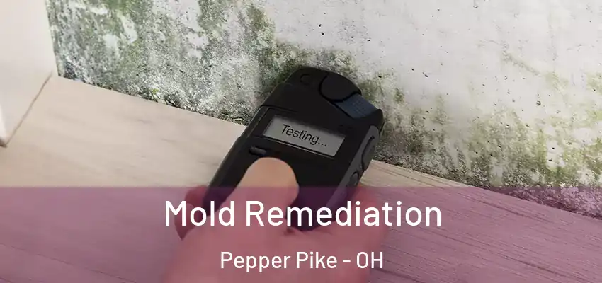 Mold Remediation Pepper Pike - OH