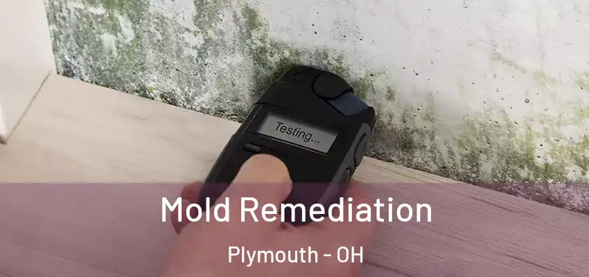  Mold Remediation Plymouth - OH