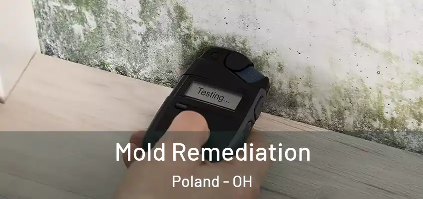 Mold Remediation Poland - OH