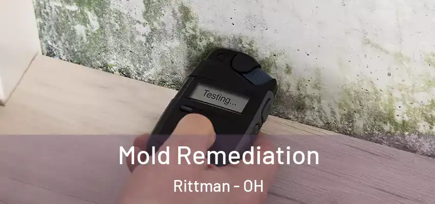 Mold Remediation Rittman - OH
