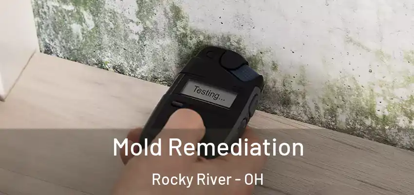 Mold Remediation Rocky River - OH