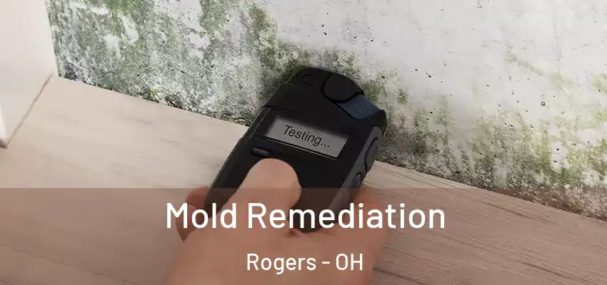 Mold Remediation Rogers - OH