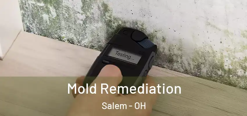 Mold Remediation Salem - OH