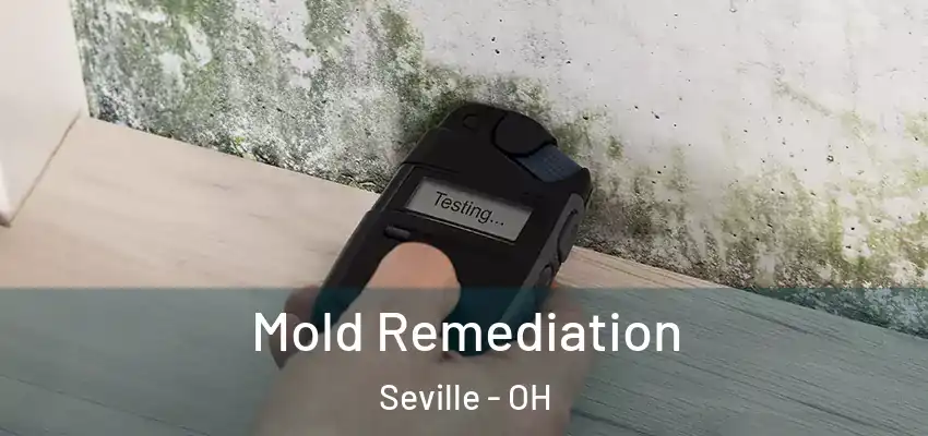 Mold Remediation Seville - OH