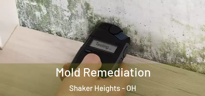 Mold Remediation Shaker Heights - OH