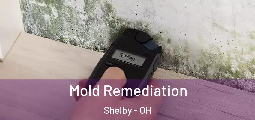 Mold Remediation Shelby - OH