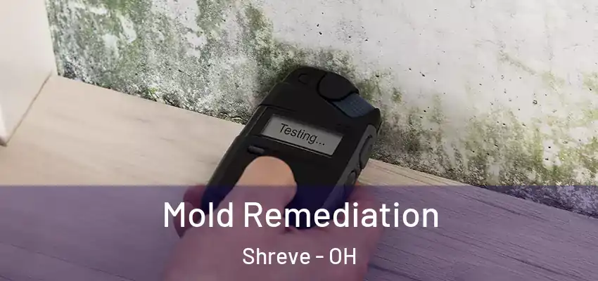 Mold Remediation Shreve - OH