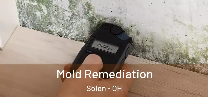 Mold Remediation Solon - OH