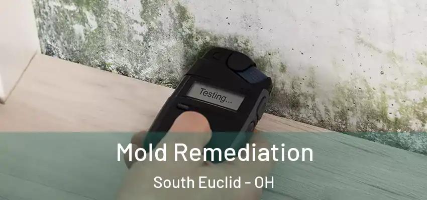 Mold Remediation South Euclid - OH
