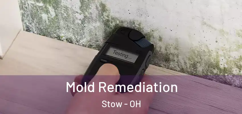 Mold Remediation Stow - OH