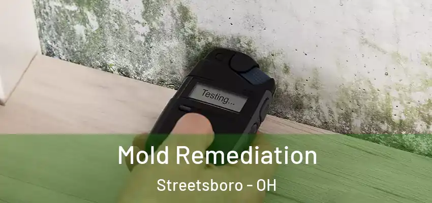 Mold Remediation Streetsboro - OH