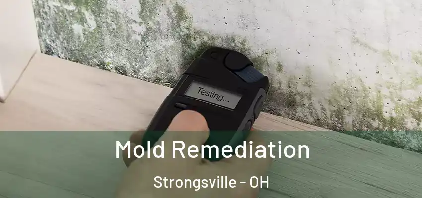  Mold Remediation Strongsville - OH
