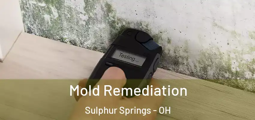  Mold Remediation Sulphur Springs - OH