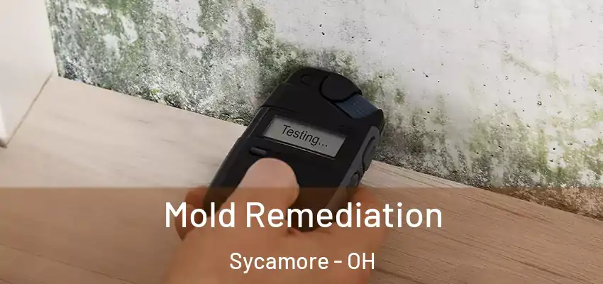 Mold Remediation Sycamore - OH