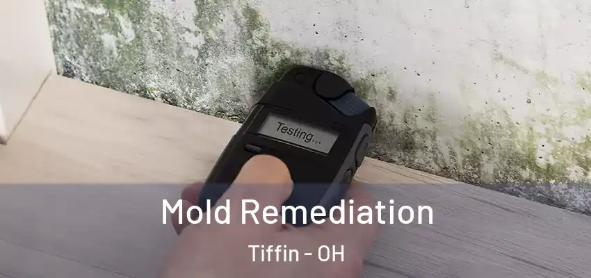 Mold Remediation Tiffin - OH