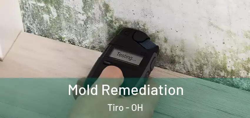Mold Remediation Tiro - OH