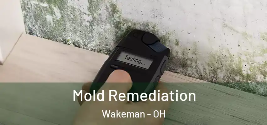 Mold Remediation Wakeman - OH