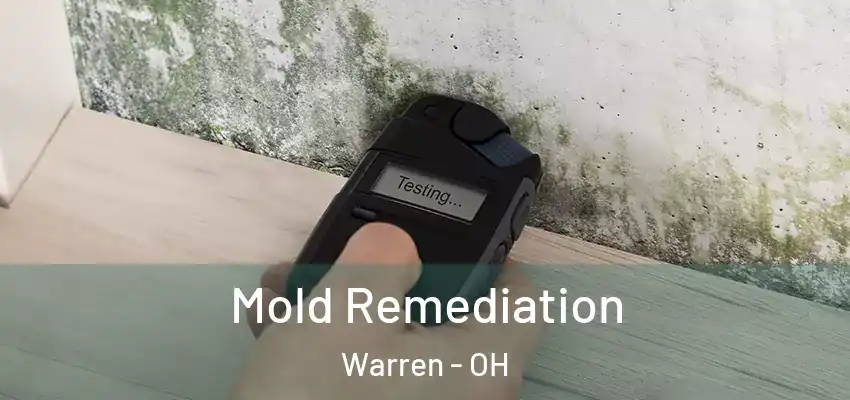 Mold Remediation Warren - OH