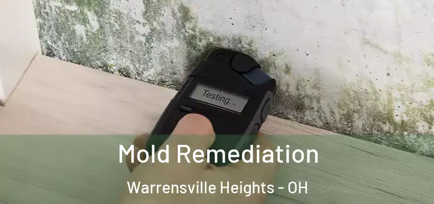 Mold Remediation Warrensville Heights - OH