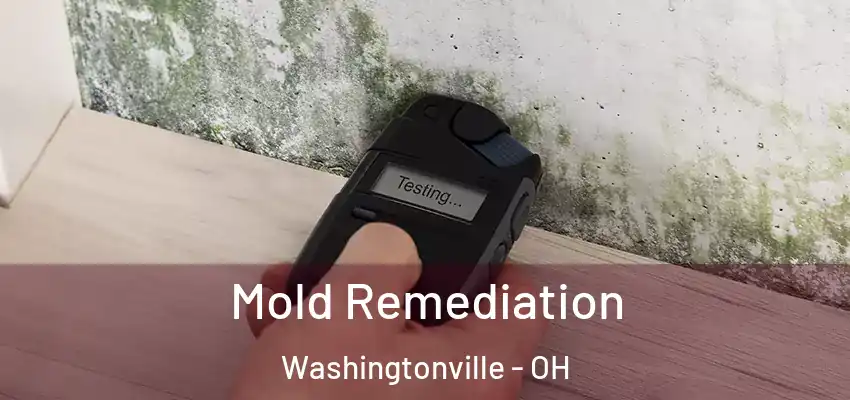  Mold Remediation Washingtonville - OH