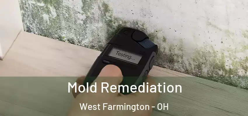 Mold Remediation West Farmington - OH