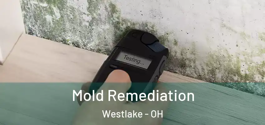 Mold Remediation Westlake - OH
