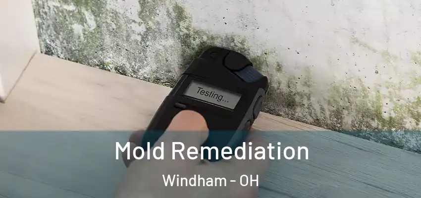  Mold Remediation Windham - OH