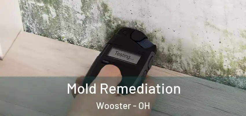 Mold Remediation Wooster - OH