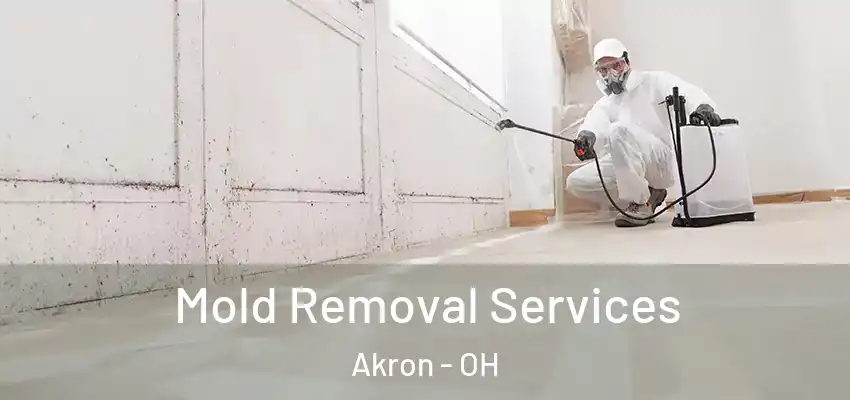 Mold Removal Services Akron - OH