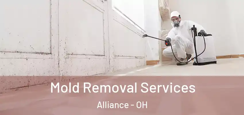 Mold Removal Services Alliance - OH