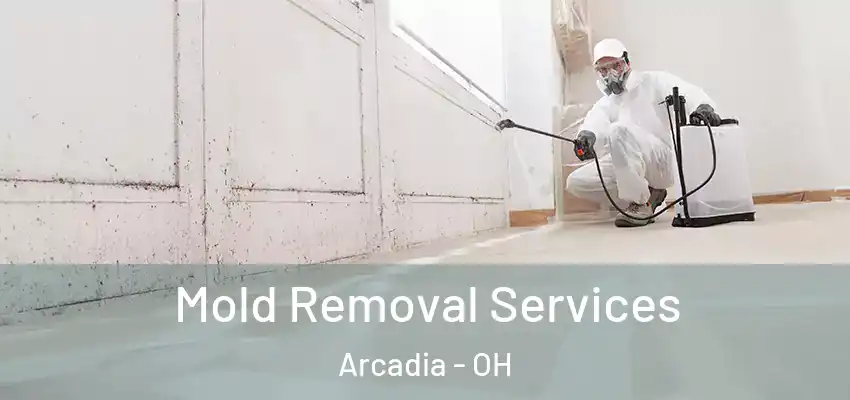 Mold Removal Services Arcadia - OH