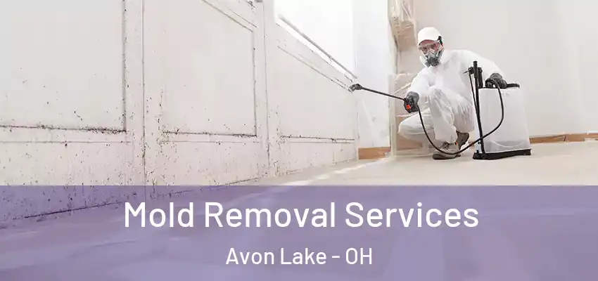 Mold Removal Services Avon Lake - OH